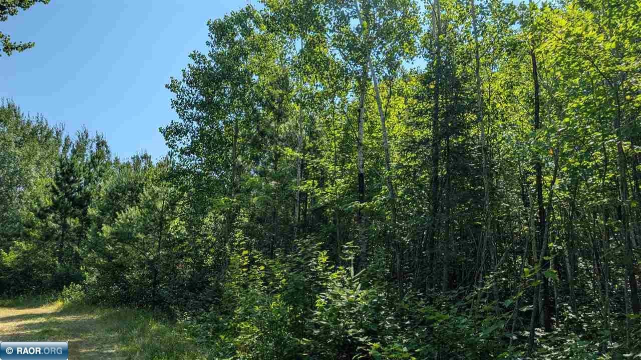 Tbd Kennedy Road Cook, MN 55723 - Photo 6 of 6 Gallery Image 6