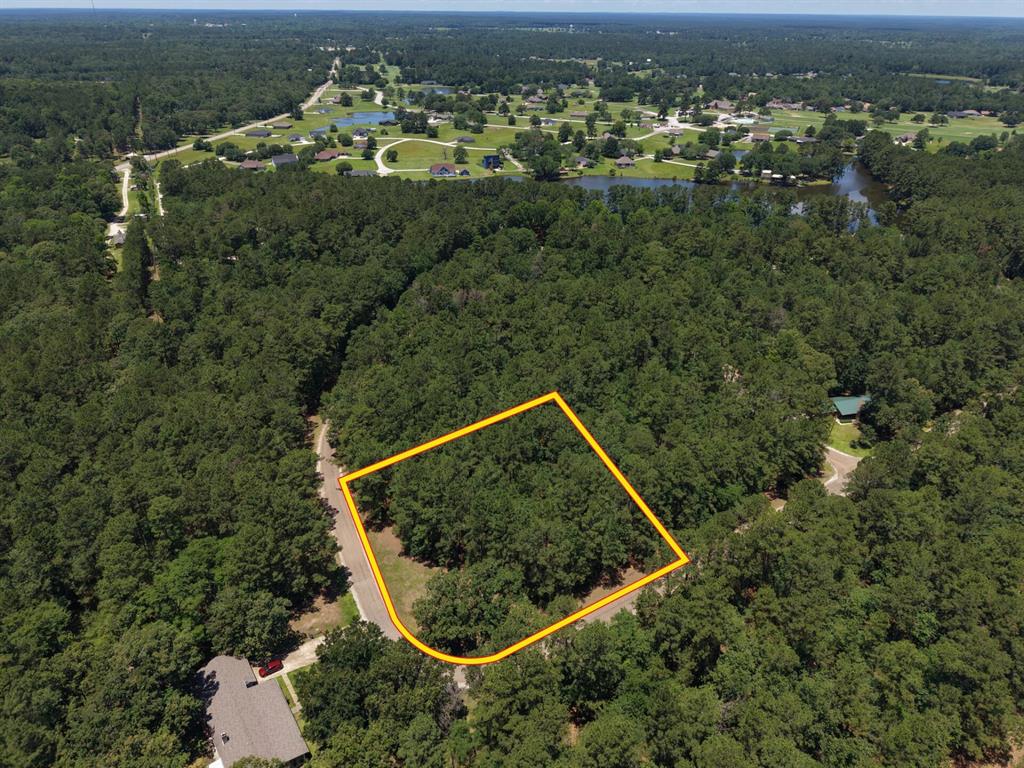 Lot 19 B H Carroll Street Trinity, TX 75862 - Photo 1 of 14