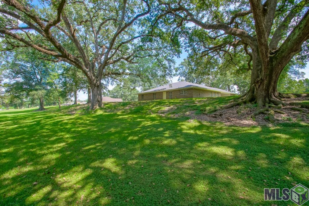 16160 Bluff Road Prairieville, LA 70769 - Photo 2 of 48