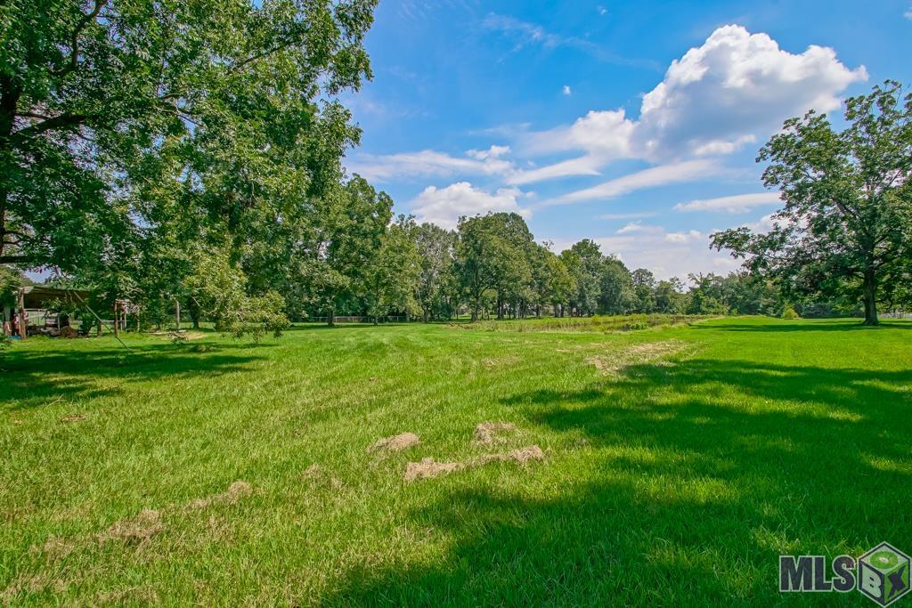 16160 Bluff Road Prairieville, LA 70769 - Photo 37 of 48