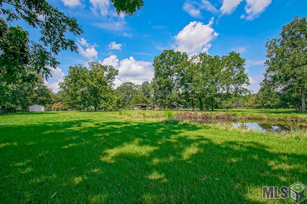16160 Bluff Road Prairieville, LA 70769 - Photo 40 of 48
