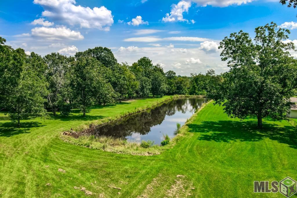 16160 Bluff Road Prairieville, LA 70769 - Photo 44 of 48