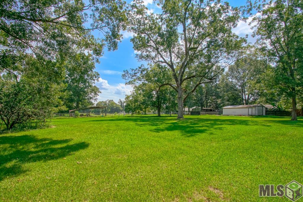 16160 Bluff Road Prairieville, LA 70769 - Photo 9 of 48