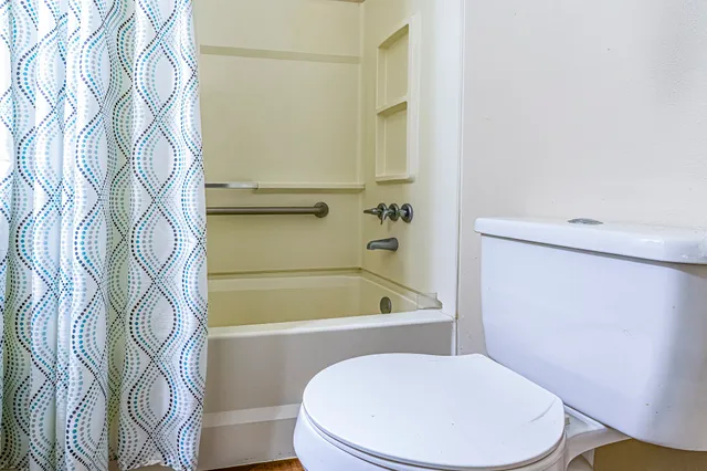 a bathroom with a toilet and a bathtub