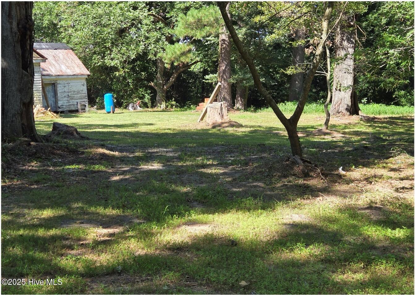 1890 O Neal Road Whitakers, NC 27891 - Photo 11 of 62 Ideal for retreat, lodging, agritourism