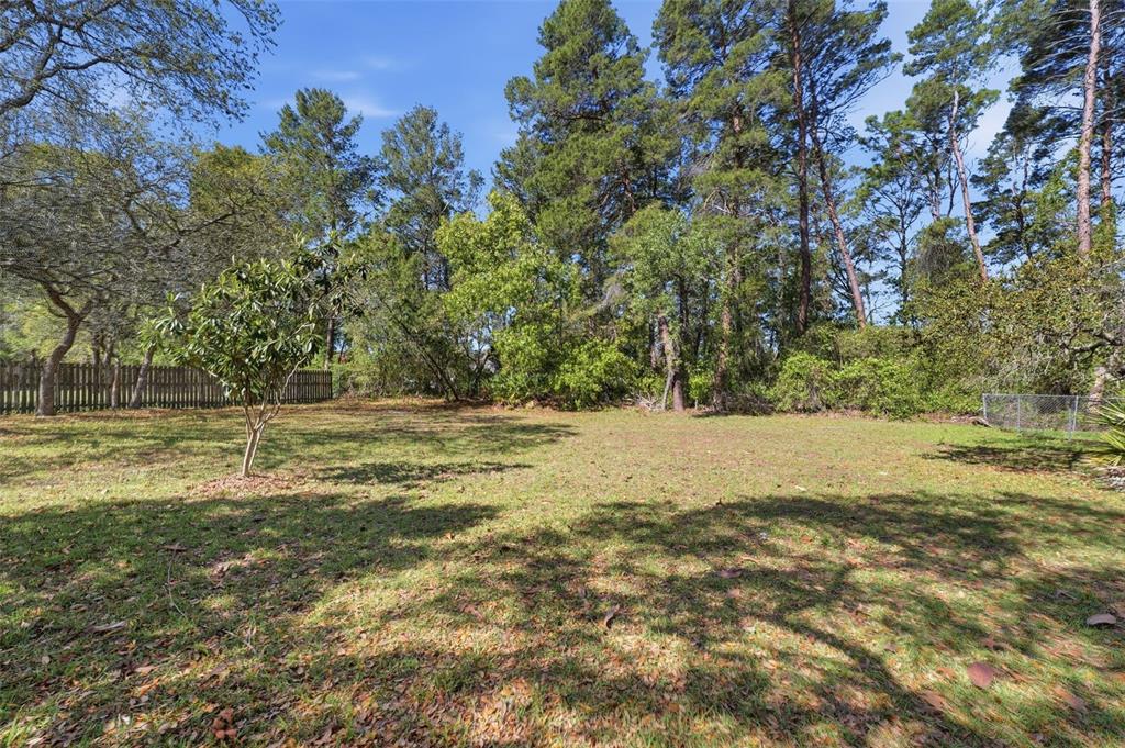 13039 Kittiwake Road Weeki Wachee, FL 34614 - Photo 29 of 55