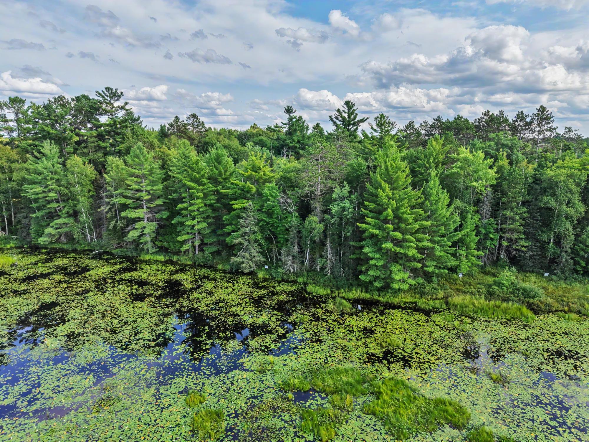 Lot On Sand Lake Road Eagle River, WI 54521 - Photo 12 of 15 Gallery Image 12