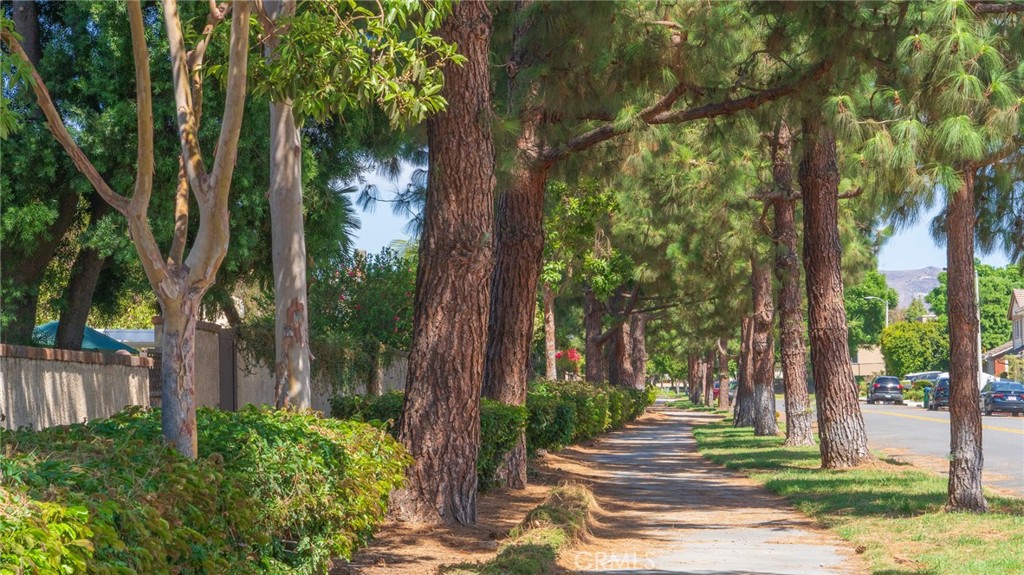 21 Fillmore Irvine, CA 92620 - Photo 8 of 24 a backyard of a house with lots of green space