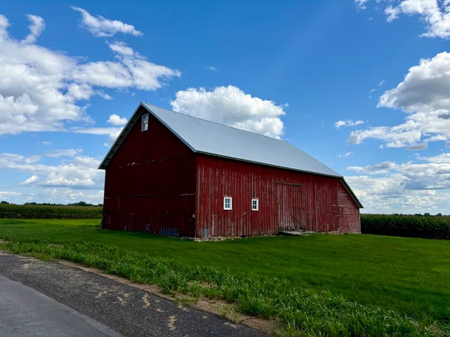 a view of a backyard with potted plants and large tree