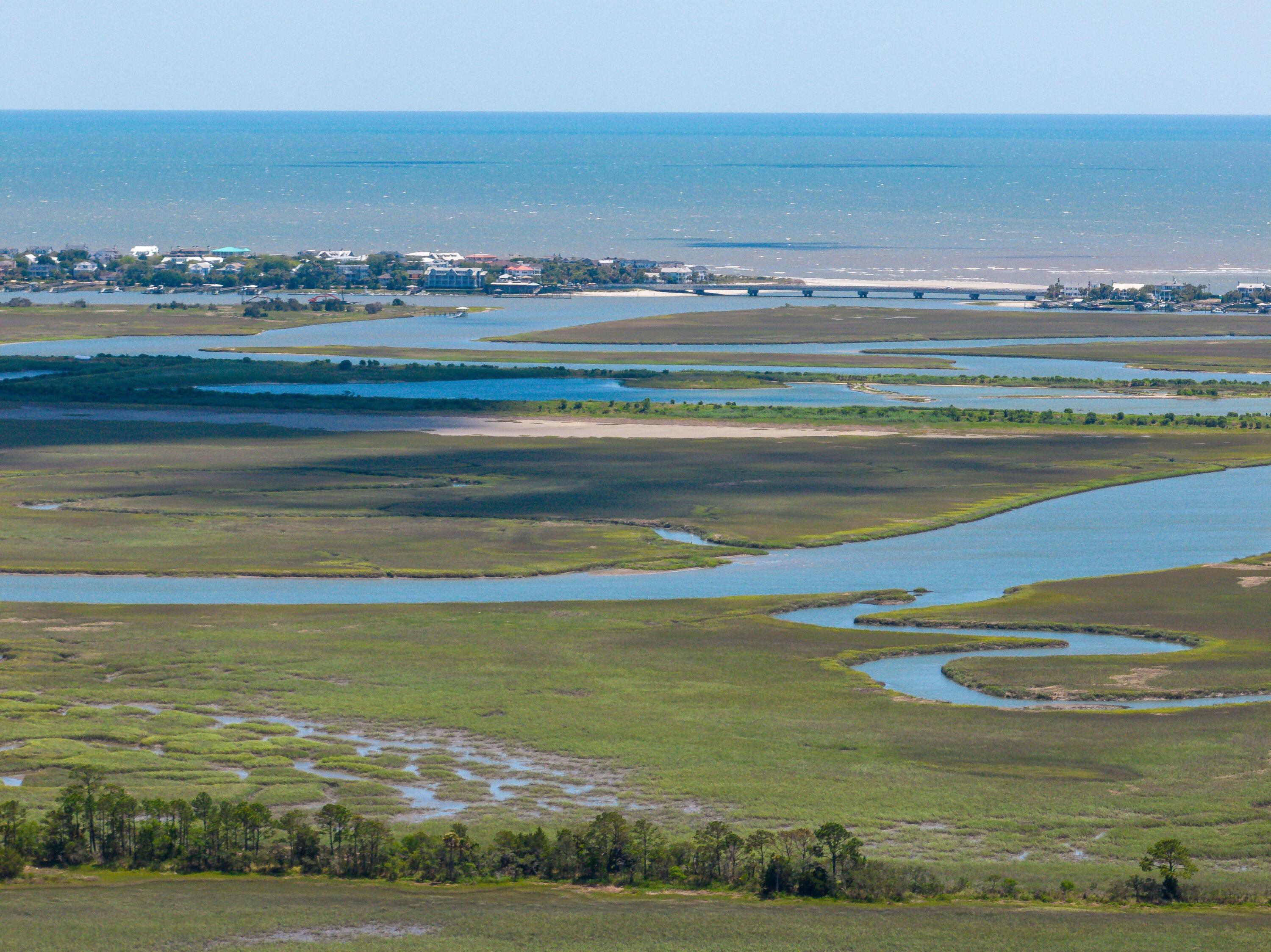1516 Pine Island Mount Mount Pleasant, SC 29464 - Photo 25 of 44 148025-Ellis%20Creek%20Photography%20151