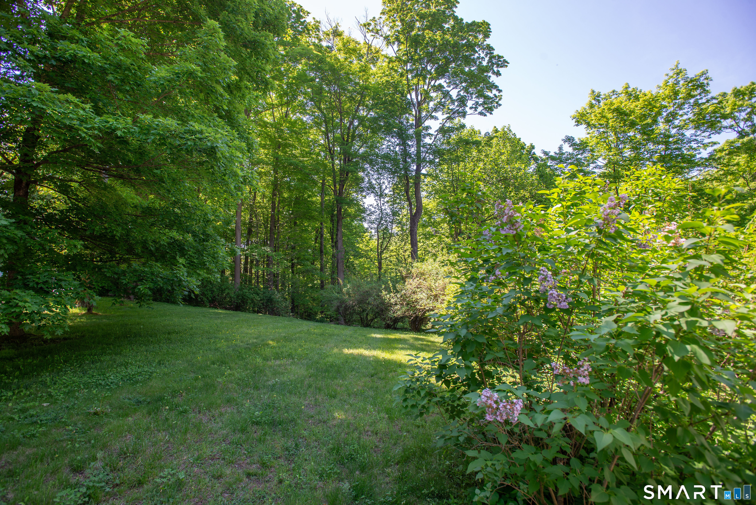 1 Spectacle Lane Ridgefield, CT 06877 - Photo 26 of 31 a view of a lush green space