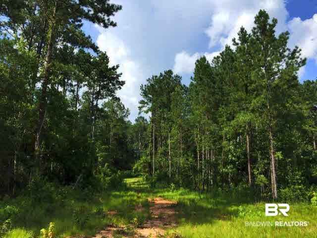 0 Dallas Lane Jackson, AL 36545 - Photo 36 of 44