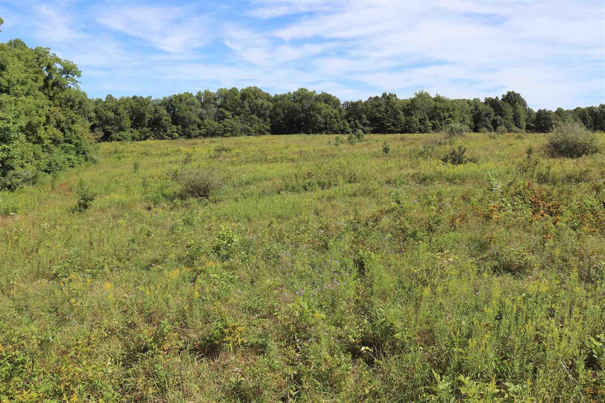 0 North Newark Solsberry, IN 47459 - Photo 16 of 18