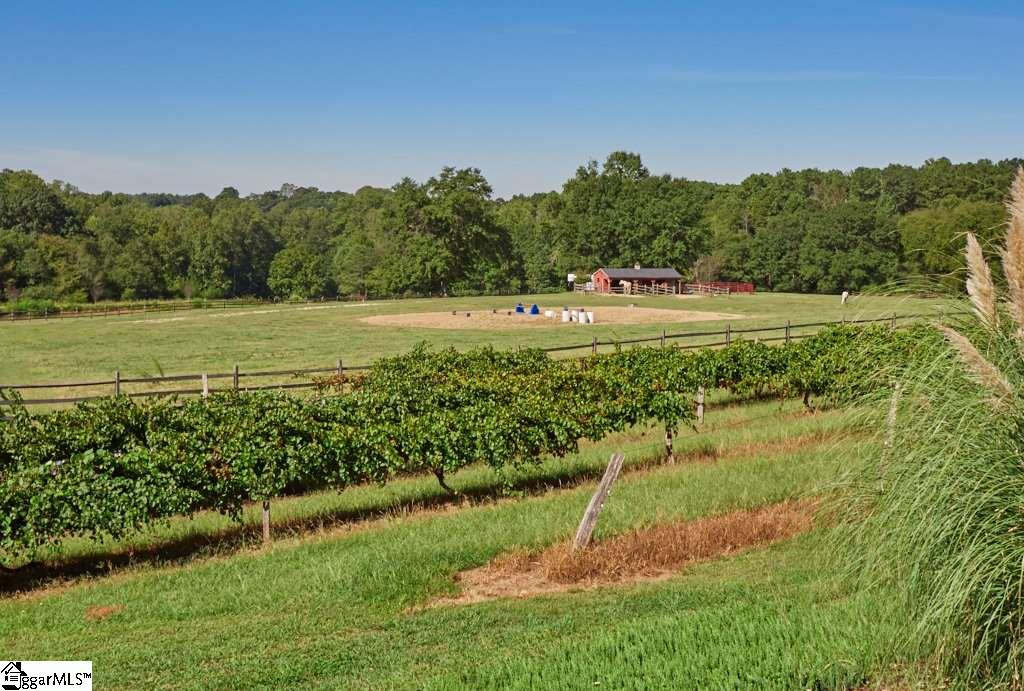 985 River Road Woodruff, SC 29388 - Photo 20 of 28