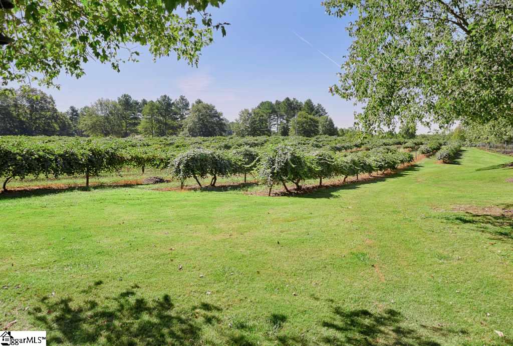 985 River Road Woodruff, SC 29388 - Photo 23 of 28