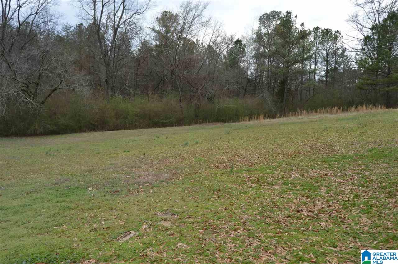 8858 Central Road Warrior, AL 35180 - Photo 22 of 22