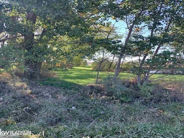0 Cade Road Brown City, MI 48416 - Photo 2 of 3