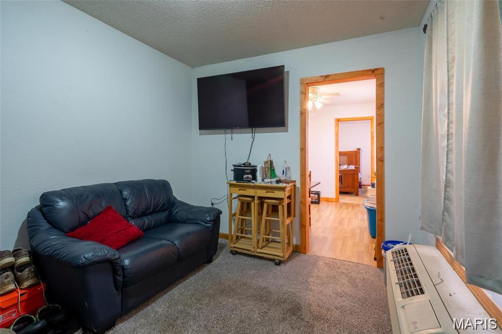 105 Allen Street Annapolis, MO 63620 - Photo 24 of 32