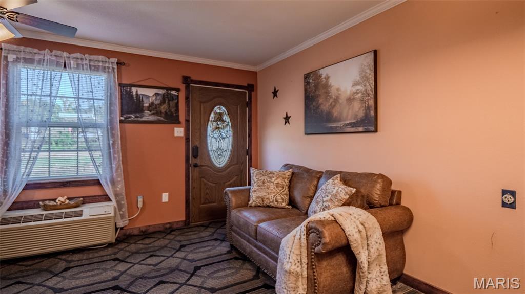 105 Allen Street Annapolis, MO 63620 - Photo 6 of 32