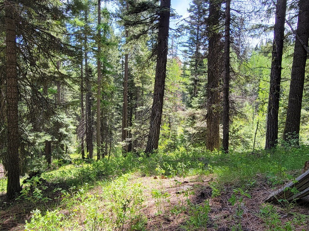 32 Arling Place Trial, Unit 5A53 Cascade, ID 83611 - Photo 11 of 12