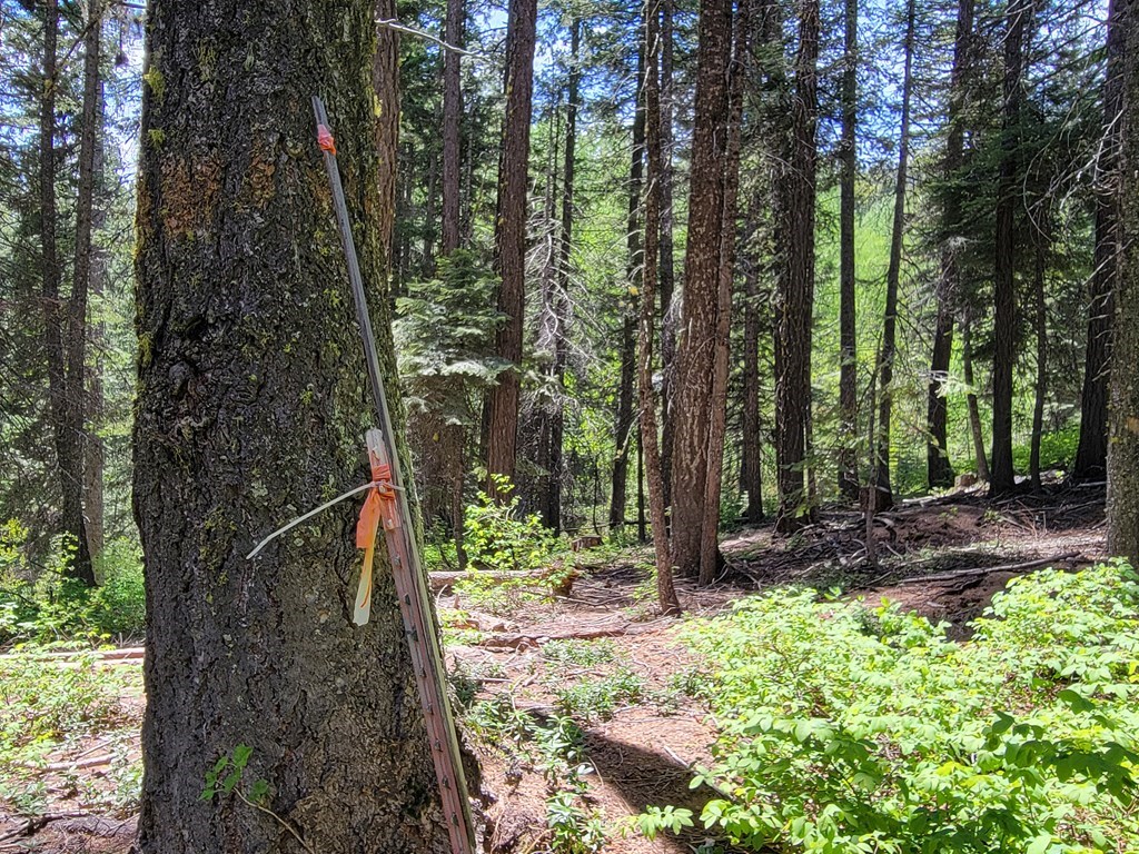 32 Arling Place Trial, Unit 5A53 Cascade, ID 83611 - Photo 12 of 12