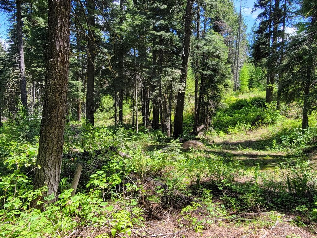 32 Arling Place Trial, Unit 5A53 Cascade, ID 83611 - Photo 3 of 12