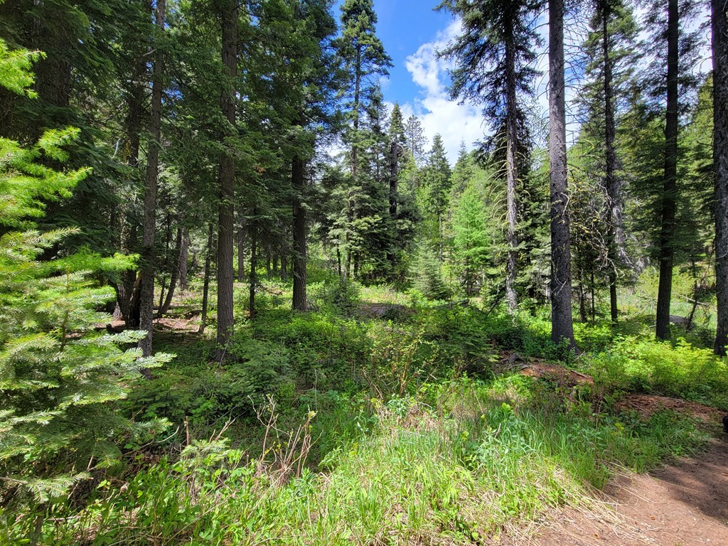 32 Arling Place Trial, Unit 5A53 Cascade, ID 83611 - Photo 4 of 12