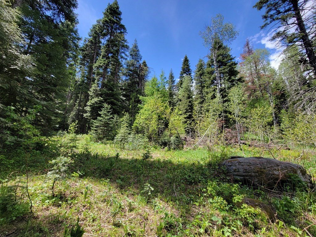 32 Arling Place Trial, Unit 5A53 Cascade, ID 83611 - Photo 6 of 12