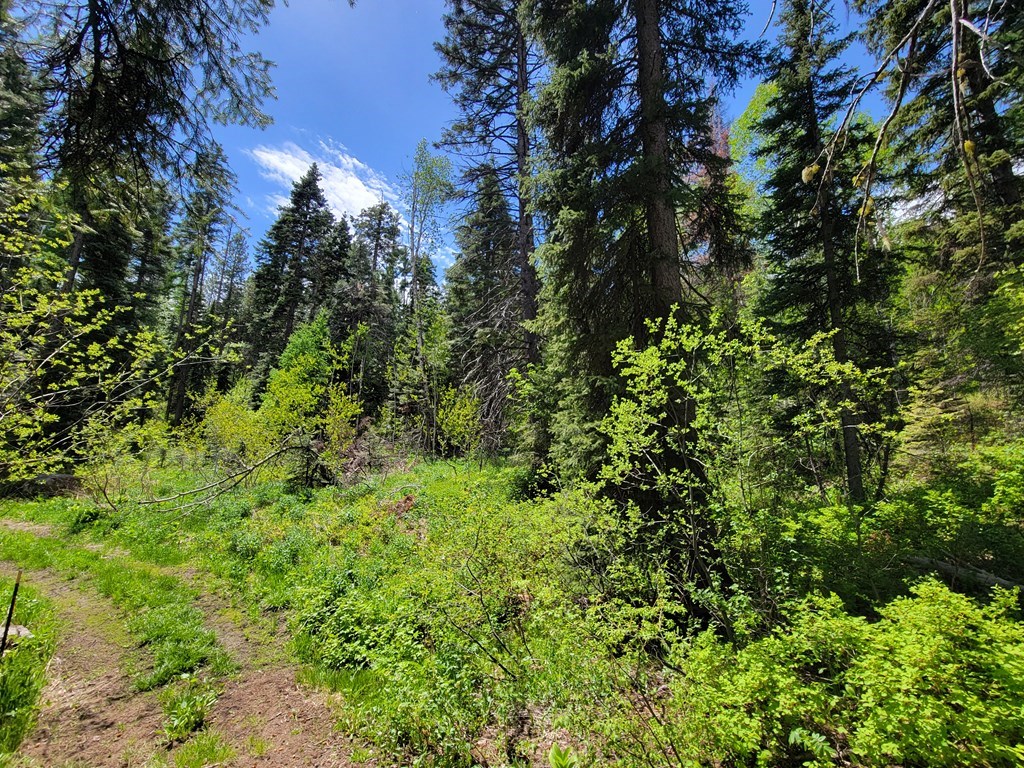 32 Arling Place Trial, Unit 5A53 Cascade, ID 83611 - Photo 7 of 12
