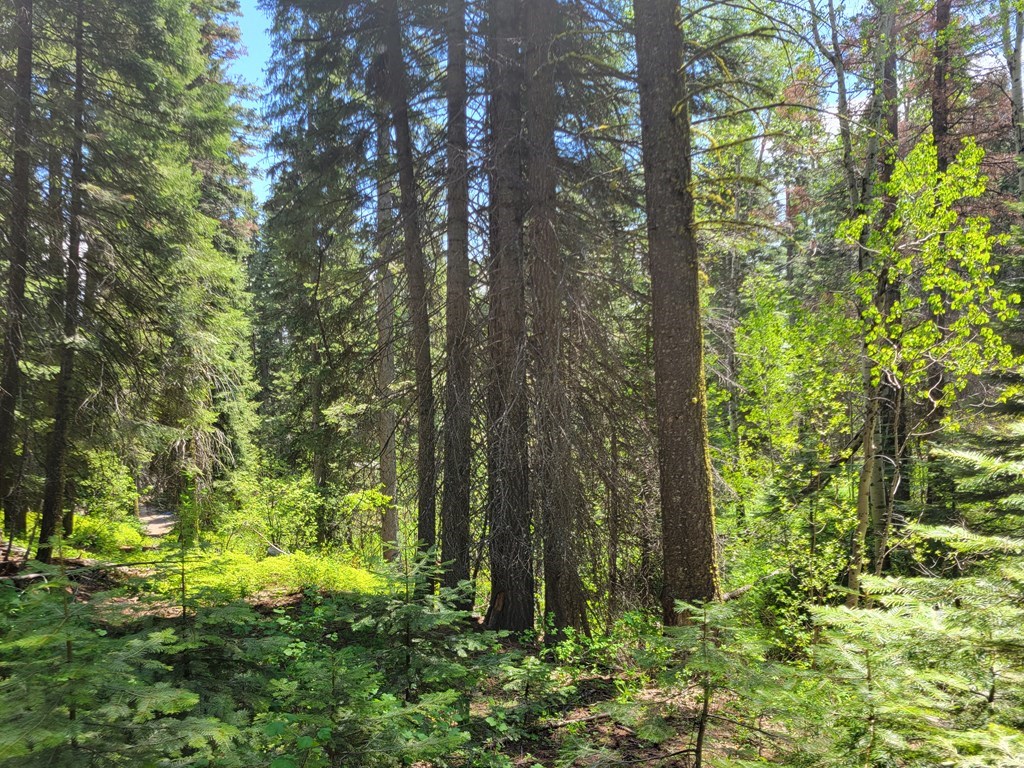32 Arling Place Trial, Unit 5A53 Cascade, ID 83611 - Photo 8 of 12