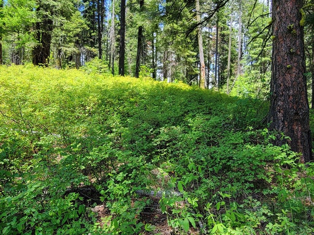 32 Arling Place Trial, Unit 5A53 Cascade, ID 83611 - Photo 9 of 12