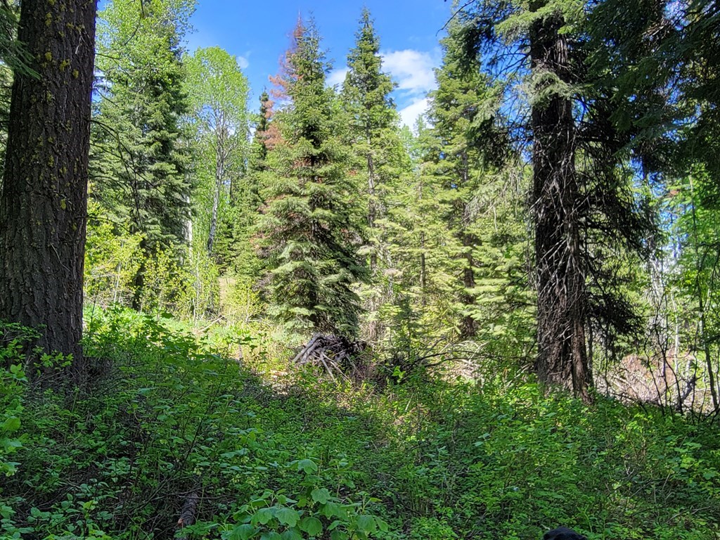 32 Arling Place Trial, Unit 5A53 Cascade, ID 83611 - Photo 10 of 12