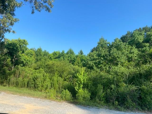 Tbd Stuchlik Road Deville, LA 71328 - Photo 3 of 3