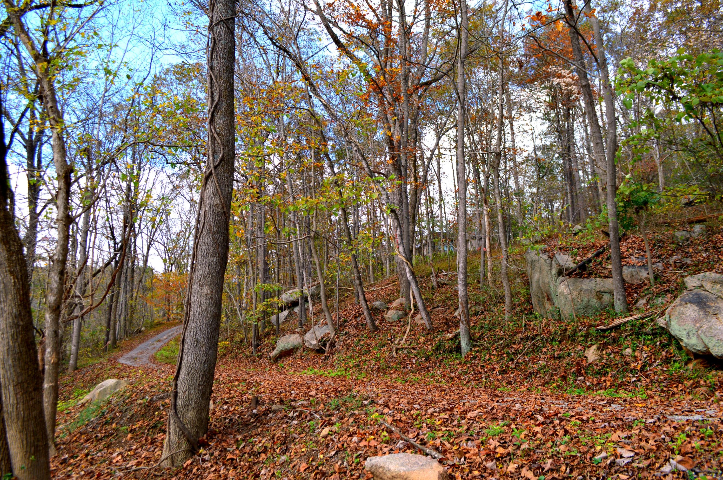 0 McVey Road Vinton, VA 24179 - Photo 8 of 19 8