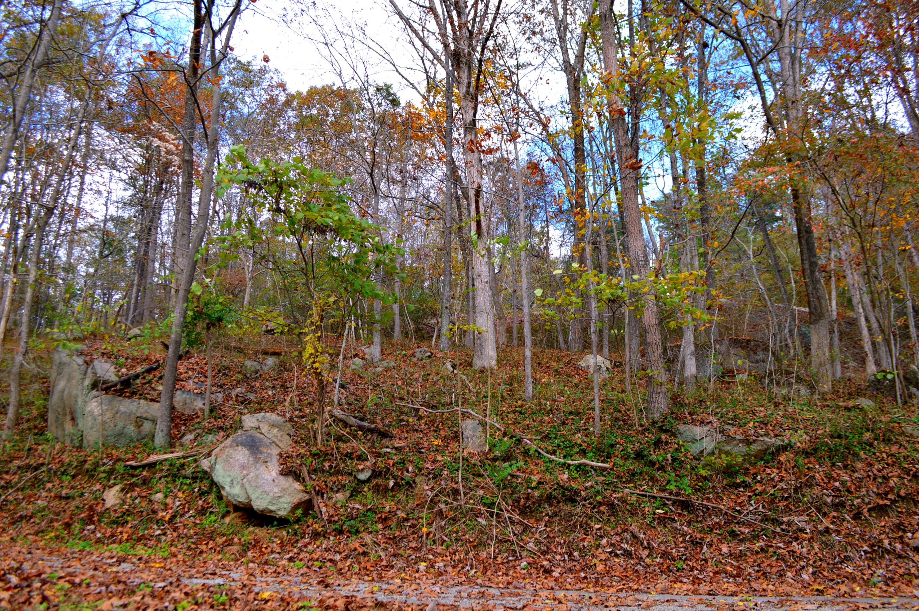 0 McVey Road Vinton, VA 24179 - Photo 9 of 19 9
