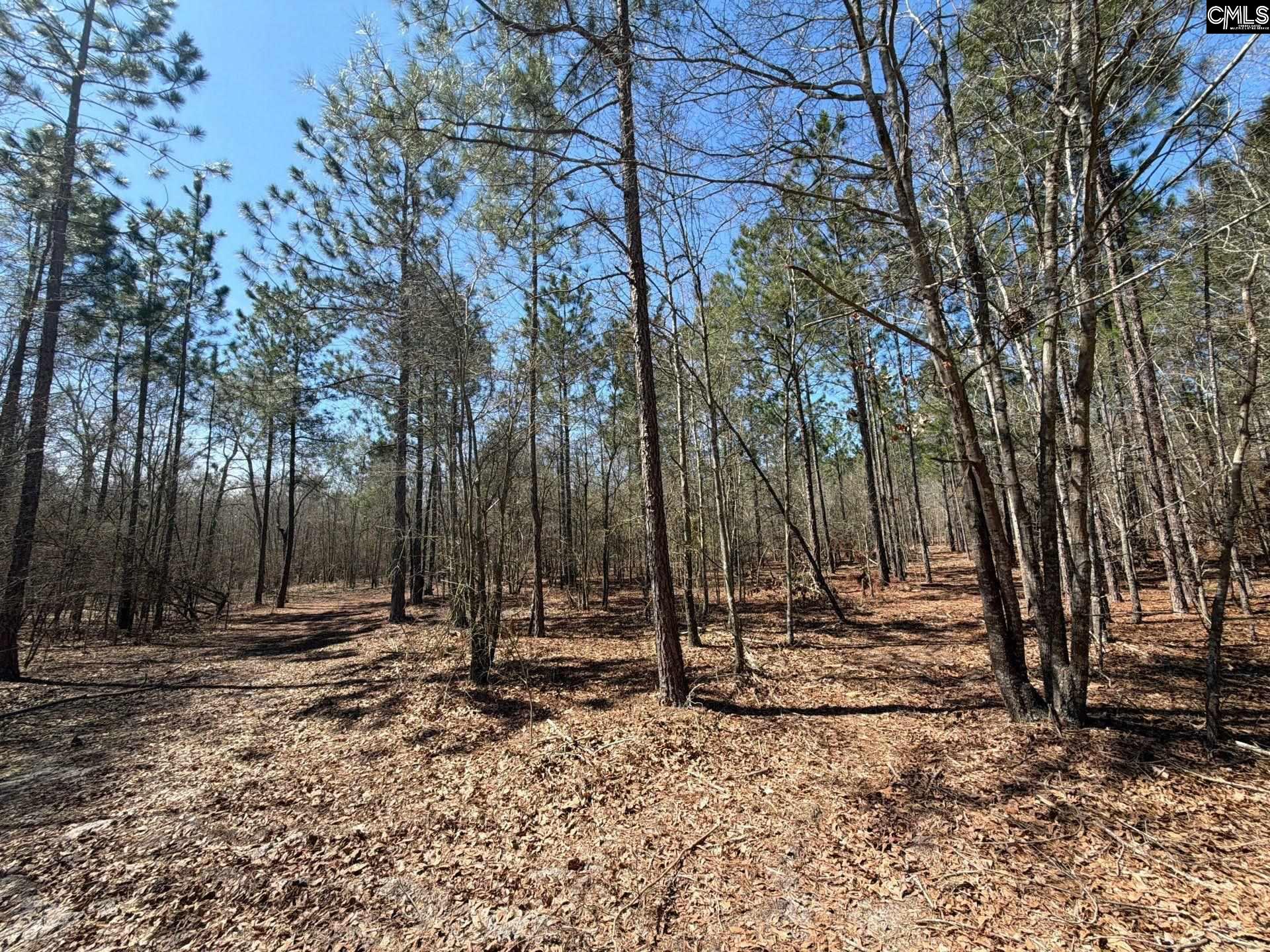 9 Boise Cascade Road, Unit BHL 9 Bethune, SC 29009 - Photo 25 of 44