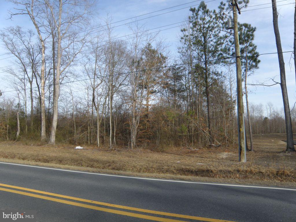 Lot G Shortly Rd.