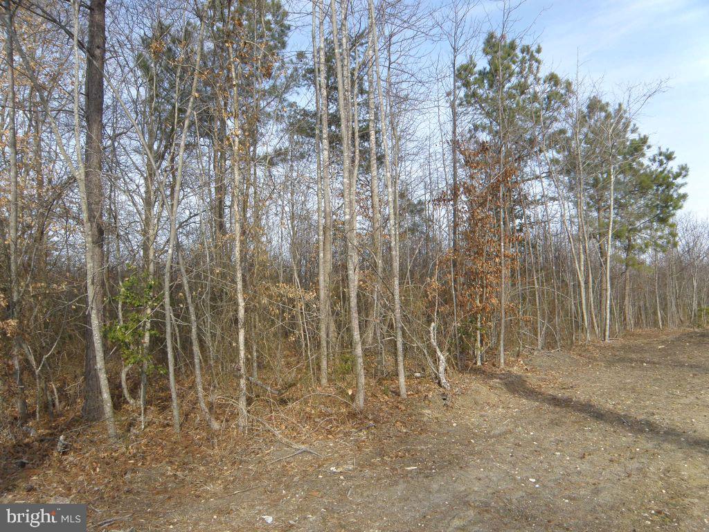 Lot G Shortly Road Georgetown, DE 19947 - Photo 3 of 5