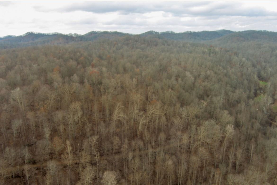 0 Sugar Tree Branch Road Wallingford, KY 41093 - Photo 5 of 14 Gallery Image 5