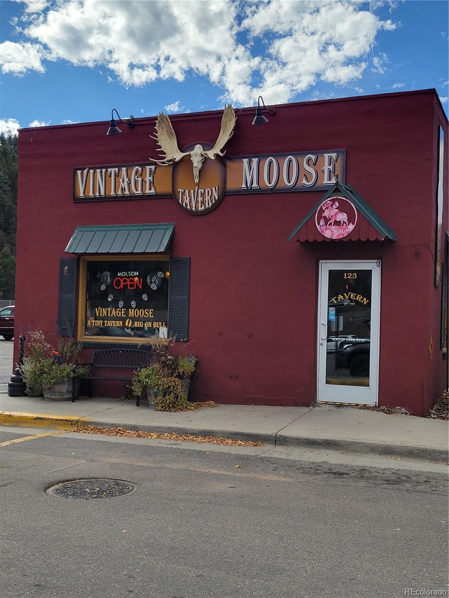 645 Alice Road Idaho Springs, CO 80452 - Photo 19 of 21 Gallery Image 19