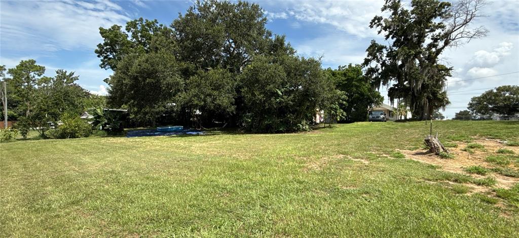 304 Shepard Avenue Dundee, FL 33838 - Photo 7 of 62 a view of a yard with a tree