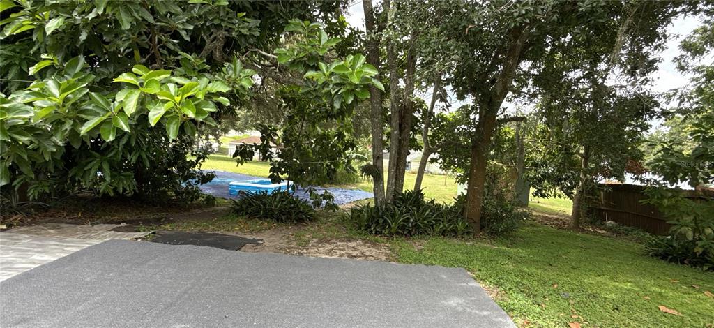 304 Shepard Avenue Dundee, FL 33838 - Photo 8 of 62 a view of a street with a tree