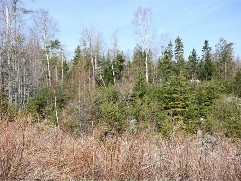 0 Jellison Cove Road Hancock, ME 04640 - Photo 4 of 7 Land/Lot.