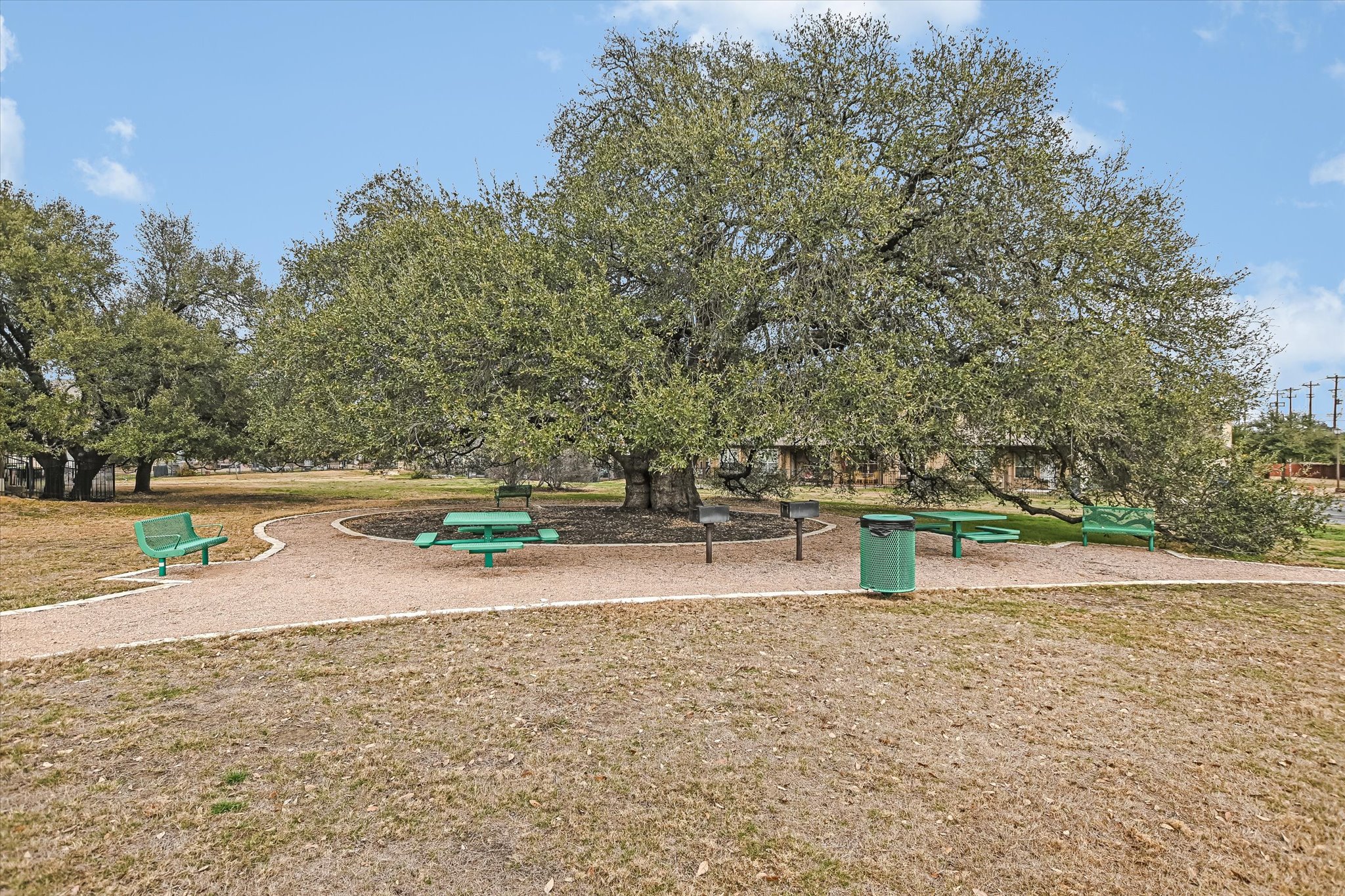 14001 Avery Ranch Boulevard, Unit 1601 Austin, TX 78717 - Photo 25 of 25 Surrounding community picnic area