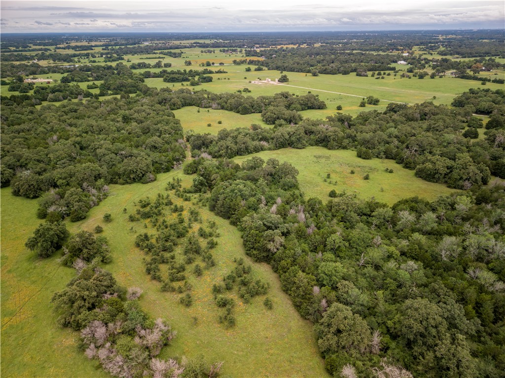 10102 Ferrill Creek Road Bryan, TX 77808 - Photo 2 of 29