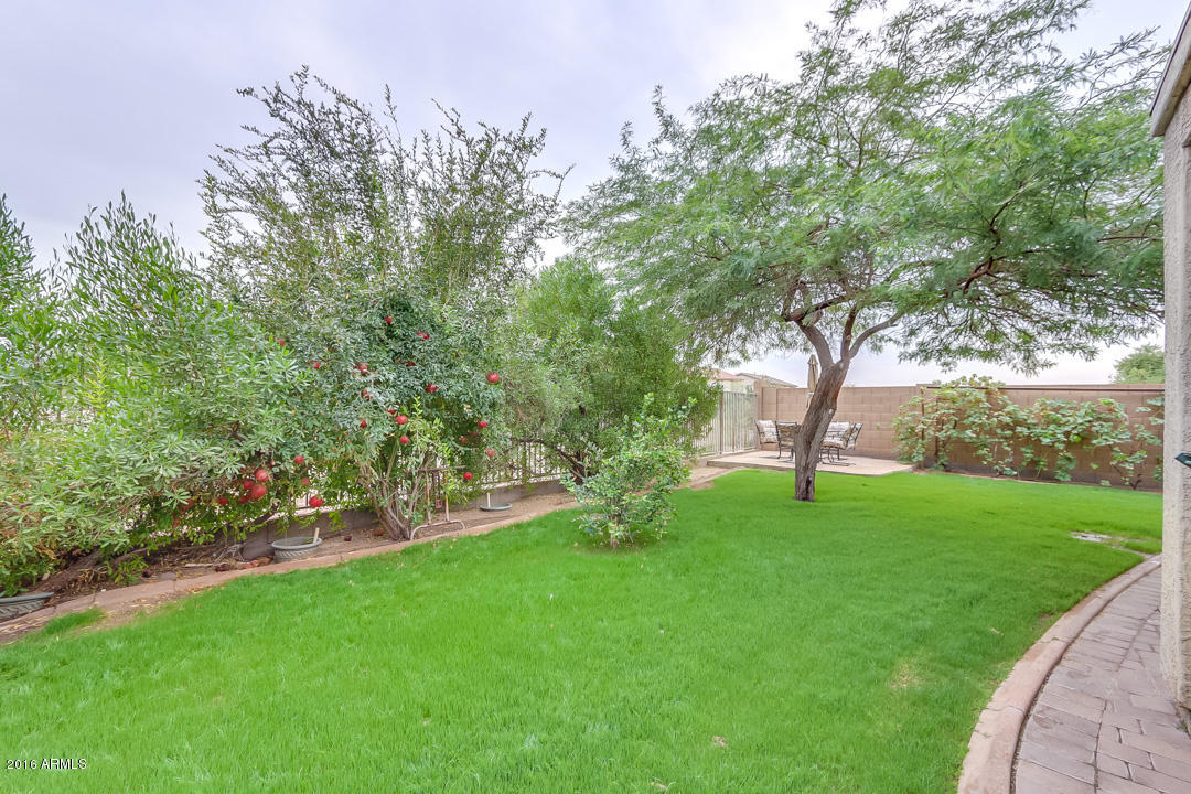6801 West Maldonado Road Laveen, AZ 85339 - Photo 45 of 49 Backyard