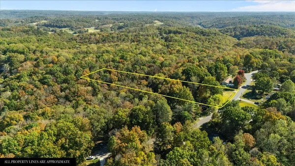 an aerial view of a houses with a lush green hillside
