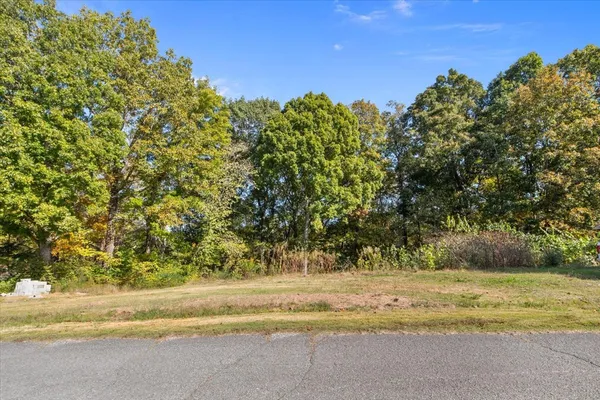 a view of a yard with large trees