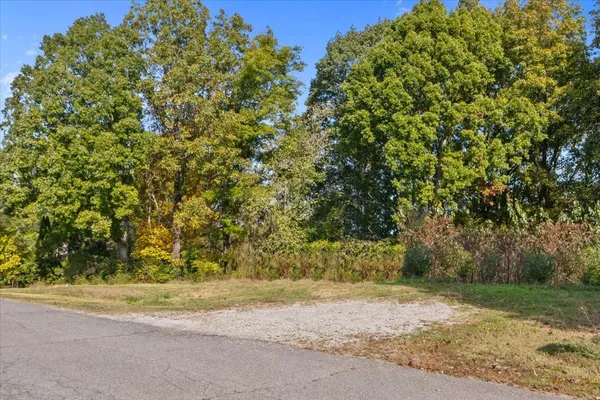 a view of a yard with a tree