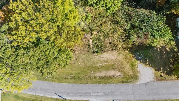 a view of a yard